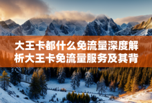 大王卡都什么免流量深度解析大王卡免流量服務(wù)及其背后的互聯(lián)網(wǎng)生活革命-有卡有網(wǎng)