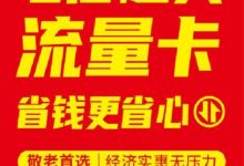 電信在線辦超大流量卡:宅家享海量流量-有卡有網(wǎng)