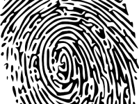 魅藍(lán)e2怎么設(shè)置微信指紋支付-路由網(wǎng)