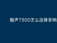 魅聲T800怎么連接音響?-路由網(wǎng)