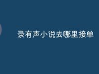 錄有聲小說去哪里接單-路由網(wǎng)