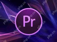 pr剪輯的時候電腦黑屏死機(jī)怎么解決？-路由網(wǎng)