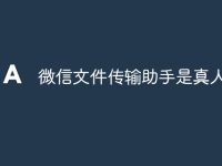微信文件傳輸助手是真人嗎-路由網(wǎng)
