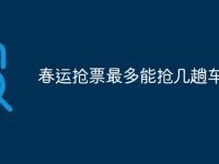 春運(yùn)搶票最多能搶幾趟車-路由網(wǎng)