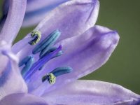 第一次買微單相機怎么選-路由網(wǎng)