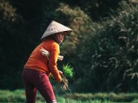 飯圈文化呈現(xiàn)什么樣的畸形發(fā)展-路由網(wǎng)