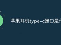 蘋(píng)果耳機(jī)type-c接口是什么-路由網(wǎng)