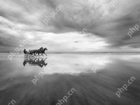 dvd鏡像文件是什么-路由網(wǎng)