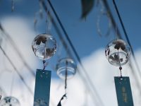 車載顯示器怎么連接網絡-路由網