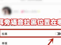 耳旁語(yǔ)音拉黑位置在哪-路由網(wǎng)