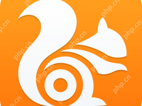 uc瀏覽器已緩存的視頻vdat怎么導(dǎo)出-路由網(wǎng)