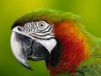 入駐亞馬遜的條件及費(fèi)用 亞馬遜代運(yùn)營(yíng)可以退款嗎-路由網(wǎng)