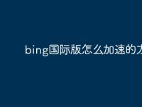 bing國(guó)際版怎么加速的方法-路由網(wǎng)