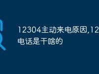 12304主動來電原因,12304電話是干啥的-路由網(wǎng)