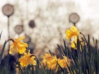 百度怎么關(guān)閉推薦 熱點(diǎn)-路由網(wǎng)