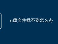 u盤文件找不到怎么辦-路由網