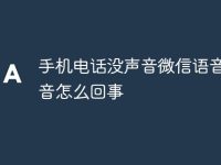 手機電話沒聲音微信語音有聲音怎么回事-路由網(wǎng)