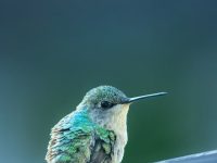 360壁紙怎么用-路由網(wǎng)