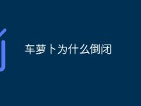 車蘿卜為什么倒閉-路由網(wǎng)